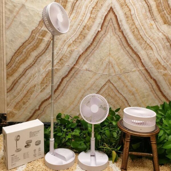 Long Telescopic Fan - Image 4