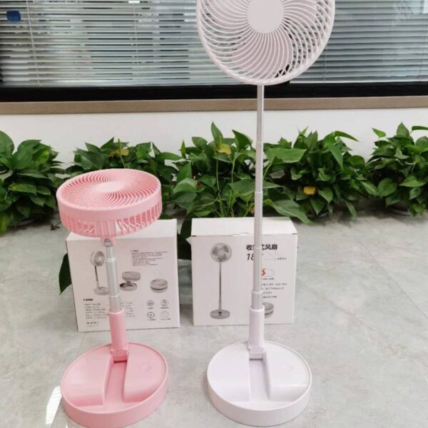 Long Telescopic Fan - Image 2