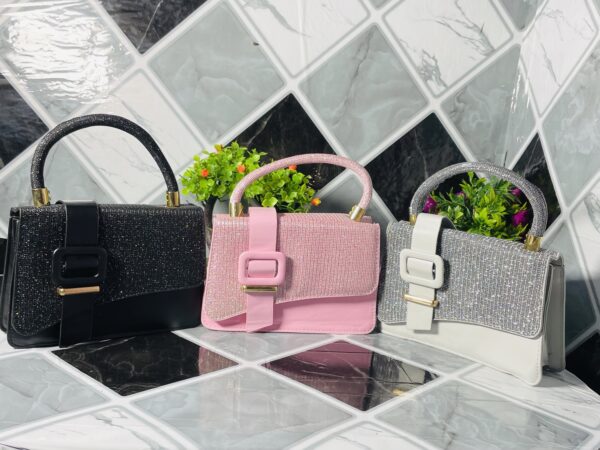 Belt Shine bag