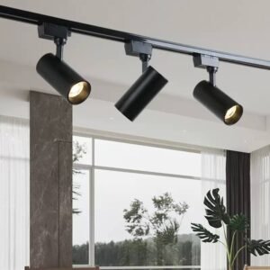 Track Light(3 in 1)